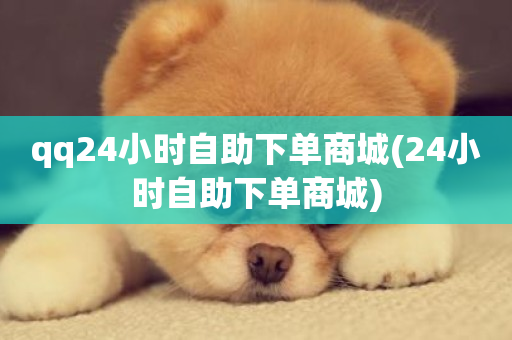 qq24小时自助下单商城(24小时自助下单商城)