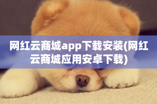 网红云商城app下载安装(网红云商城应用安卓下载)-第1张图片-ZBLOG