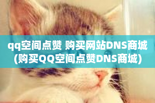 qq空间点赞 购买网站DNS商城(购买QQ空间点赞DNS商城)-第1张图片-ZBLOG