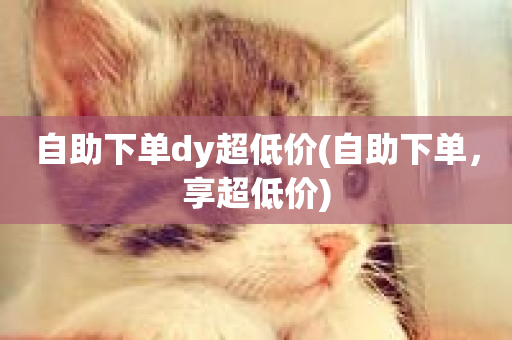 自助下单dy超低价(自助下单，享超低价)-第1张图片-ZBLOG