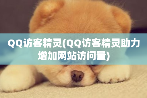 QQ访客精灵(QQ访客精灵助力增加网站访问量)