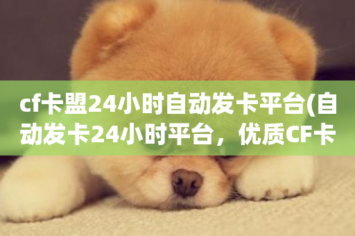 cf卡盟24小时自动发卡平台(自动发卡24小时平台，优质CF卡销售)-第1张图片-ZBLOG