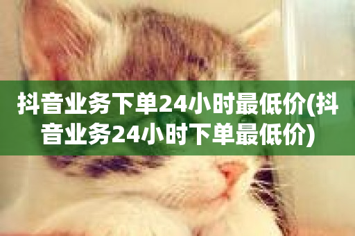 抖音业务下单24小时最低价(抖音业务24小时下单最低价)-第1张图片-ZBLOG