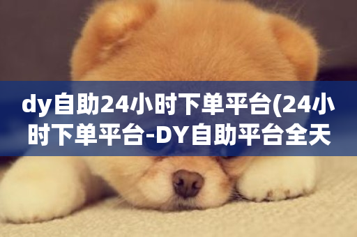 dy自助24小时下单平台(24小时下单平台-DY自助平台全天接单)