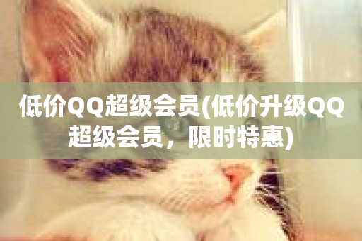 低价QQ超级会员(低价升级QQ超级会员，限时特惠)-第1张图片-ZBLOG