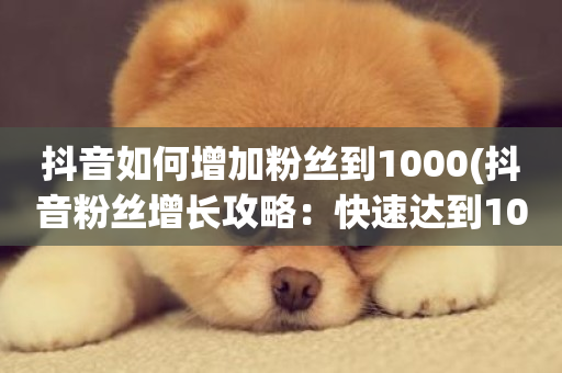 抖音如何增加粉丝到1000(抖音粉丝增长攻略：快速达到1000)