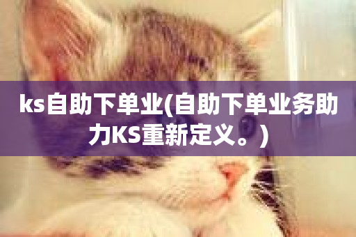 ks自助下单业(自助下单业务助力KS重新定义。)-第1张图片-ZBLOG