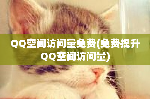 QQ空间访问量免费(免费提升QQ空间访问量)-第1张图片-ZBLOG