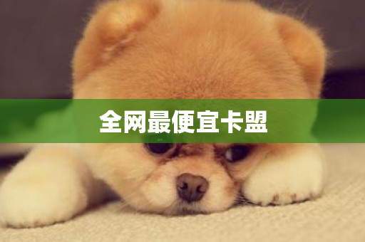 全网最便宜卡盟-第1张图片-ZBLOG