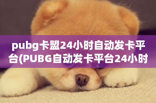 pubg卡盟24小时自动发卡平台(PUBG自动发卡平台24小时服务)