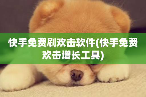 快手免费刷欢击软件(快手免费欢击增长工具)-第1张图片-ZBLOG