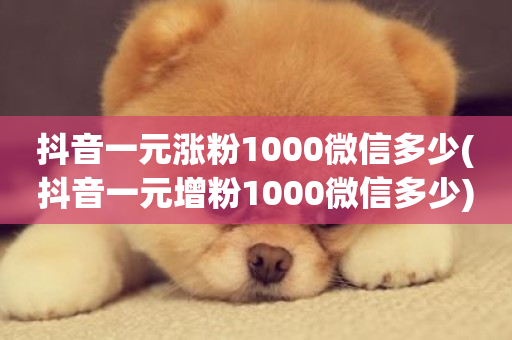 抖音一元涨粉1000微信多少(抖音一元增粉1000微信多少)-第1张图片-ZBLOG