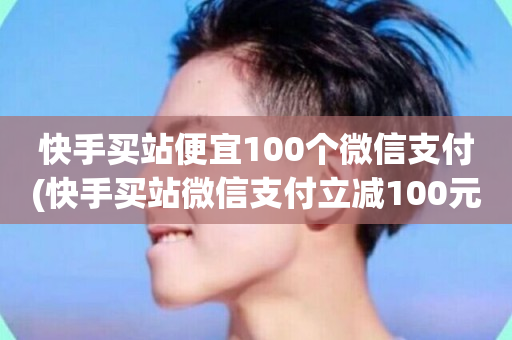 快手买站便宜100个微信支付(快手买站微信支付立减100元)-第1张图片-ZBLOG