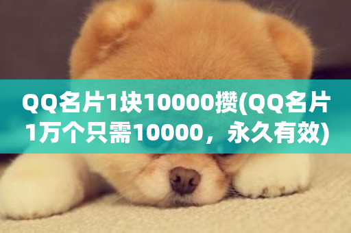 QQ名片1块10000攒(QQ名片1万个只需10000，永久有效)-第1张图片-ZBLOG