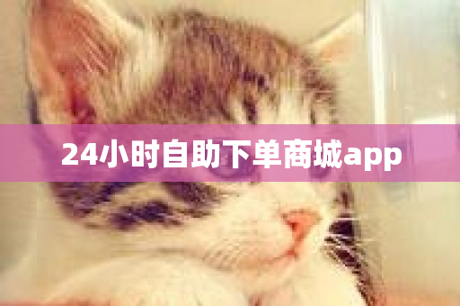 24小时自助下单商城app