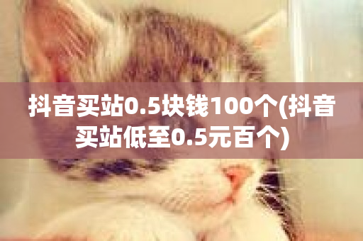 抖音买站0.5块钱100个(抖音买站低至0.5元百个)-第1张图片-ZBLOG