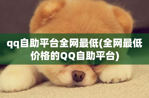 qq自助平台全网最低(全网最低价格的QQ自助平台)