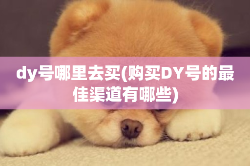 dy号哪里去买(购买DY号的最佳渠道有哪些)-第1张图片-ZBLOG