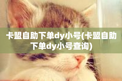 卡盟自助下单dy小号(卡盟自助下单dy小号查询)-第1张图片-ZBLOG