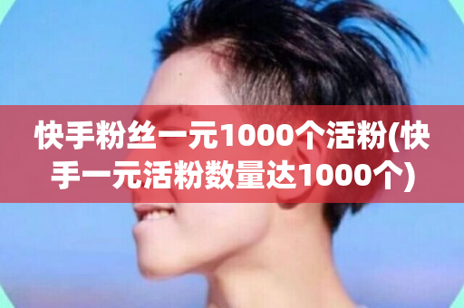 快手粉丝一元1000个活粉(快手一元活粉数量达1000个)-第1张图片-ZBLOG