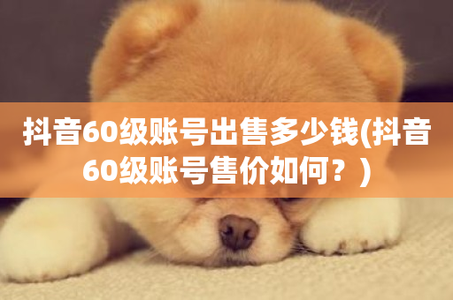 抖音60级账号出售多少钱(抖音60级账号售价如何？)-第1张图片-ZBLOG