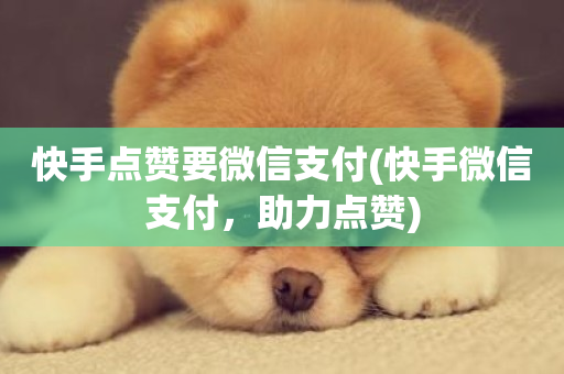 快手点赞要微信支付(快手微信支付，助力点赞)-第1张图片-ZBLOG