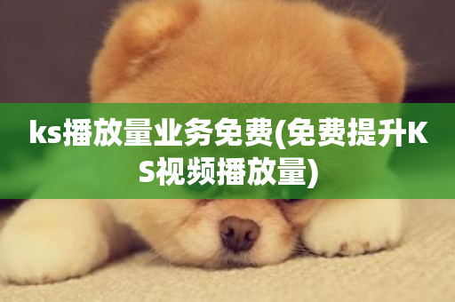 ks播放量业务免费(免费提升KS视频播放量)-第1张图片-ZBLOG