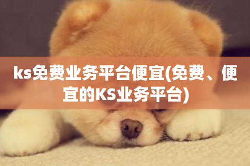 ks免费业务平台便宜(免费、便宜的KS业务平台)-第1张图片-ZBLOG