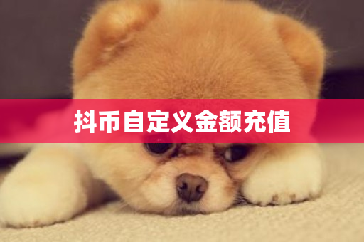 抖币自定义金额充值-第1张图片-ZBLOG