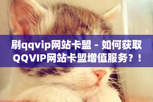 刷qqvip网站卡盟 - 如何获取QQVIP网站卡盟增值服务？!-第1张图片-ZBLOG