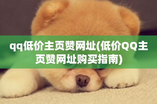 qq低价主页赞网址(低价QQ主页赞网址购买指南)-第1张图片-ZBLOG