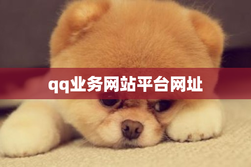 qq业务网站平台网址