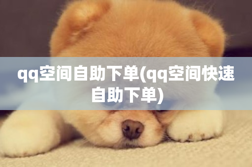 qq空间自助下单(qq空间快速自助下单)-第1张图片-ZBLOG