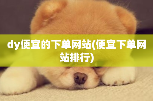 dy便宜的下单网站(便宜下单网站排行)-第1张图片-ZBLOG