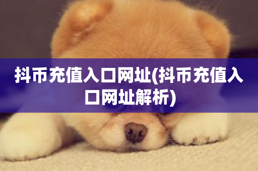 抖币充值入口网址(抖币充值入口网址解析)-第1张图片-ZBLOG