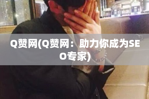 Q赞网(Q赞网：助力你成为SEO专家)