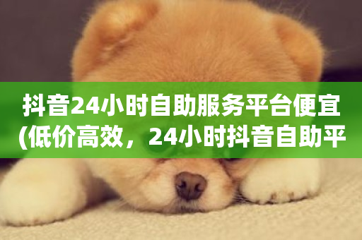 抖音24小时自助服务平台便宜(低价高效，24小时抖音自助平台)-第1张图片-ZBLOG