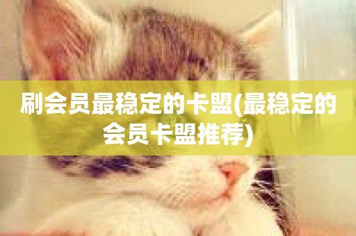 刷会员最稳定的卡盟(最稳定的会员卡盟推荐)-第1张图片-ZBLOG