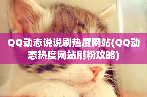 QQ动态说说刷热度网站(QQ动态热度网站刷粉攻略)-第1张图片-ZBLOG