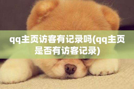 qq主页访客有记录吗(qq主页是否有访客记录)-第1张图片-ZBLOG