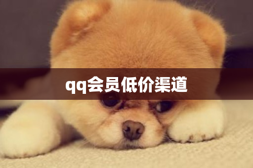 qq会员低价渠道-第1张图片-ZBLOG