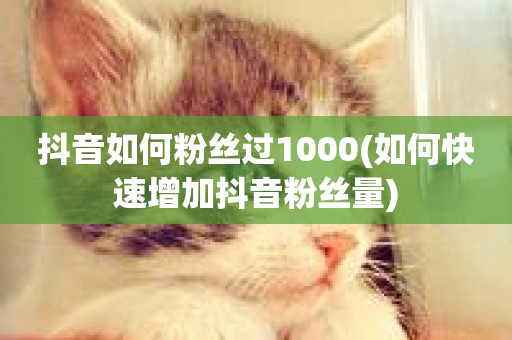 抖音如何粉丝过1000(如何快速增加抖音粉丝量)-第1张图片-ZBLOG