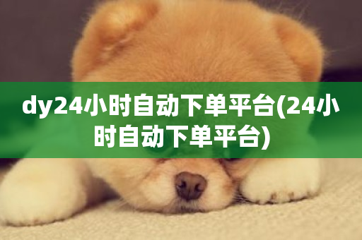 dy24小时自动下单平台(24小时自动下单平台)-第1张图片-ZBLOG