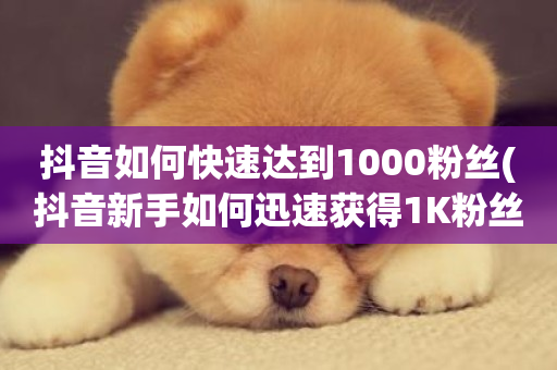 抖音如何快速达到1000粉丝(抖音新手如何迅速获得1K粉丝)