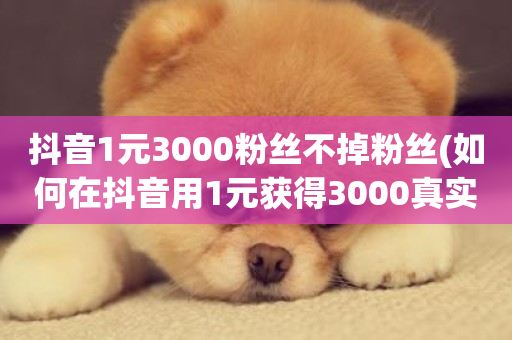 抖音1元3000粉丝不掉粉丝(如何在抖音用1元获得3000真实粉丝)-第1张图片-ZBLOG