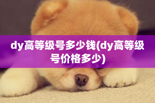 dy高等级号多少钱(dy高等级号价格多少)