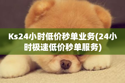 Ks24小时低价秒单业务(24小时极速低价秒单服务)-第1张图片-ZBLOG