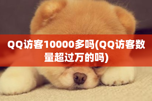 QQ访客10000多吗(QQ访客数量超过万的吗)-第1张图片-ZBLOG