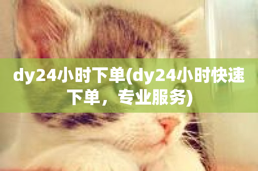 dy24小时下单(dy24小时快速下单，专业服务)-第1张图片-ZBLOG