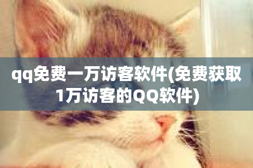 qq免费一万访客软件(免费获取1万访客的QQ软件)-第1张图片-ZBLOG